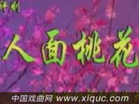 评剧【人面桃花】沈阳评剧院演出