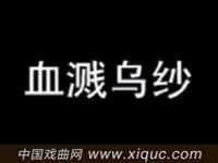 豫剧【血溅乌纱】河南省豫剧院演出