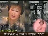 黄梅戏【苏妻告状】全集