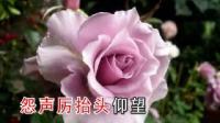 晋剧伴奏【游西湖】李慧娘含冤死悲愤满腔