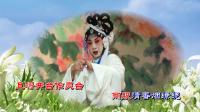 淮剧下载mp4免费下载【白雪皑皑如戴孝】夏爱珍演唱